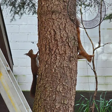 The Modern Cave - Comfyhome * Stuttgart