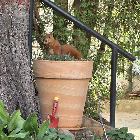 The Modern Cave - Comfyhome Apartment