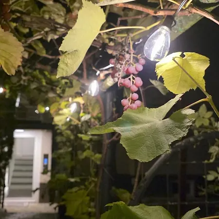 The Modern Cave - Comfyhome *