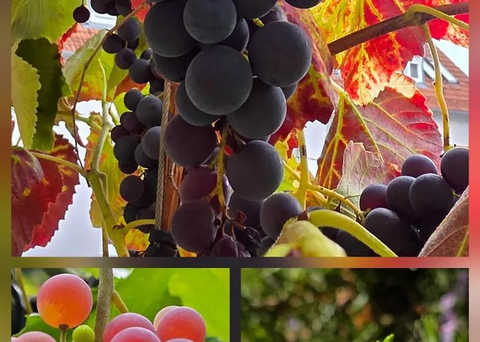 The Modern Cave - Comfyhome Apartman *