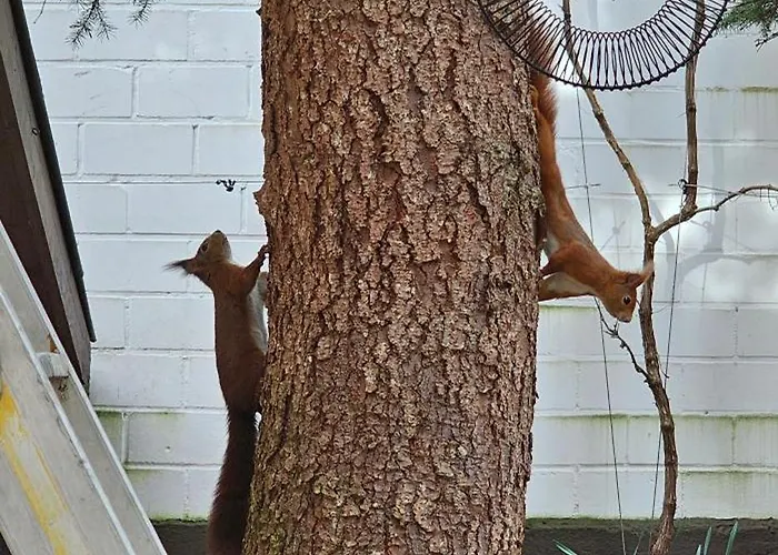 The Modern Cave - Comfyhome * Stuttgart