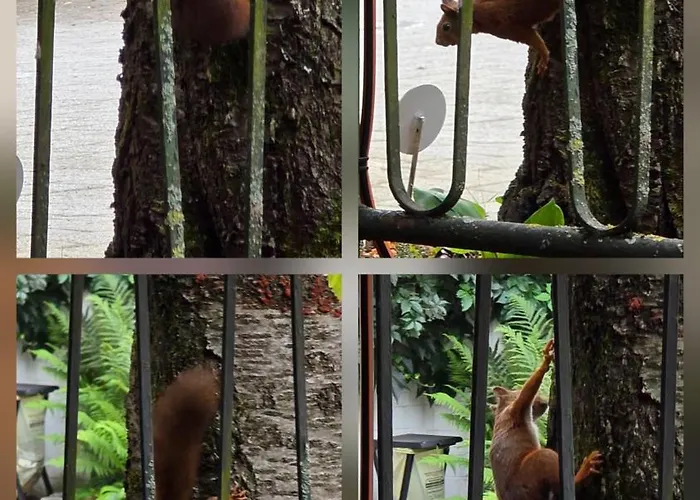 The Modern Cave - Comfyhome