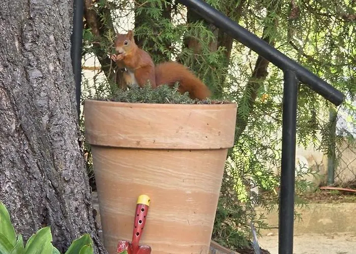 The Modern Cave - Comfyhome Apartman