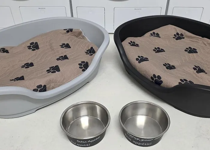 The Modern Cave - Comfyhome Apartman