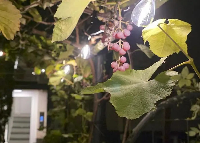 The Modern Cave - Comfyhome *