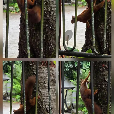 The Modern Cave - Comfyhome