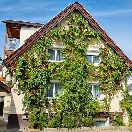 The Modern Cave - Comfyhome *